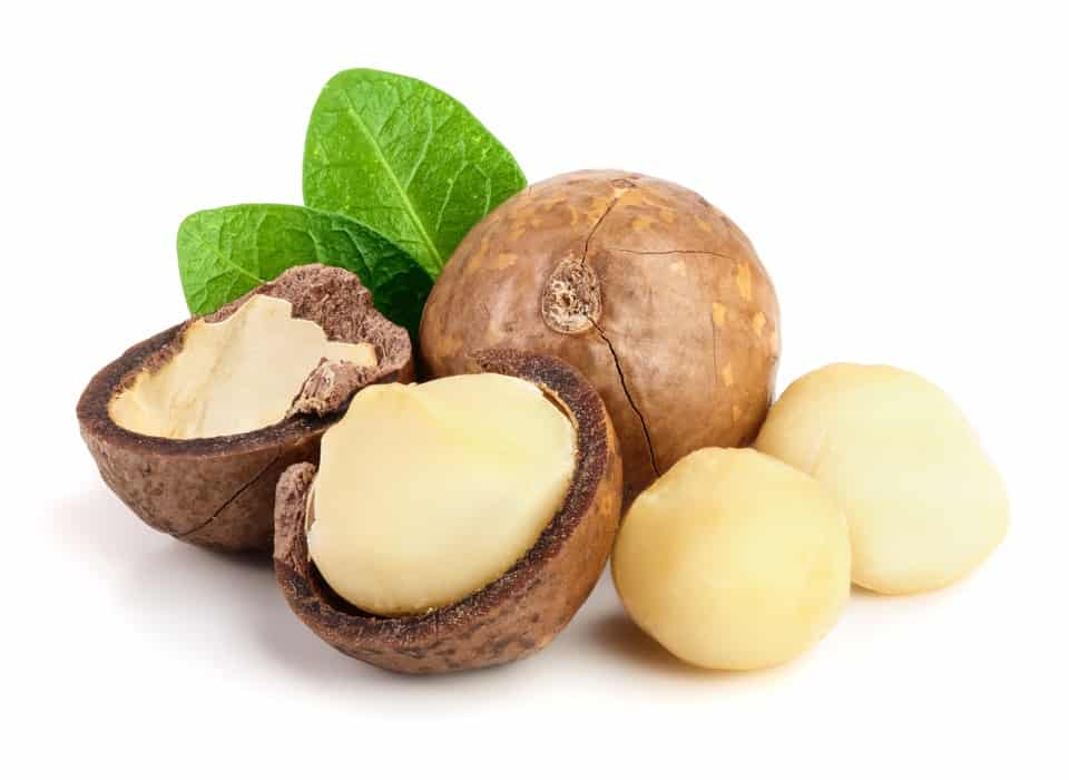 Shelled,And,Unshelled,Macadamia,Nuts,With,Leaves,Isolated,On,White