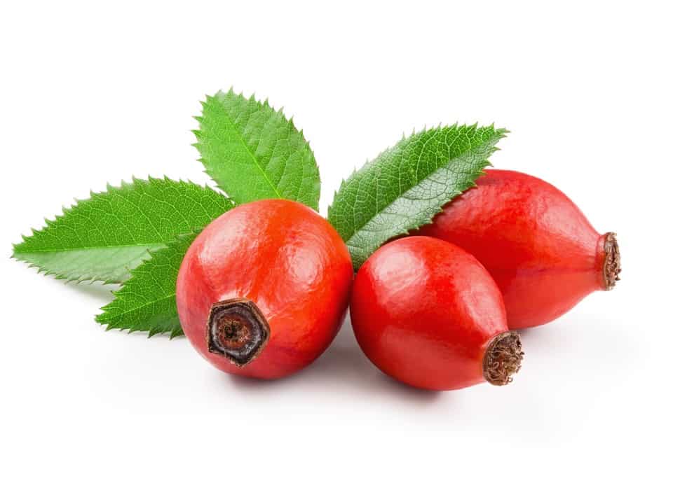 Rosehip,Isolated,On,A,White,Background.,Fresh,Raw,Briar,Berries