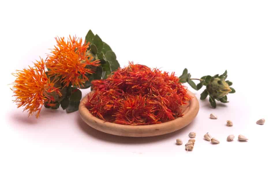 Safflower,Latin,Name,Carthamus,Tinctorius,Or,Fake,Saffron,On,A