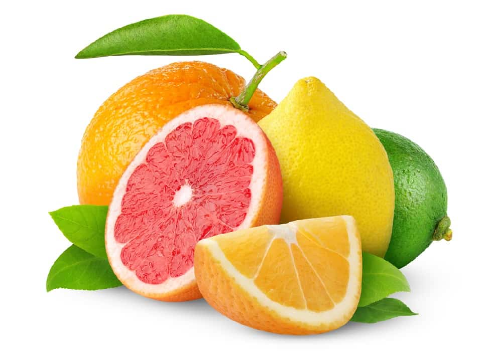 Isolated,Citrus,Fruits.,Orange,,Grapefruit,,Lemon,And,Lime,Isolated,On