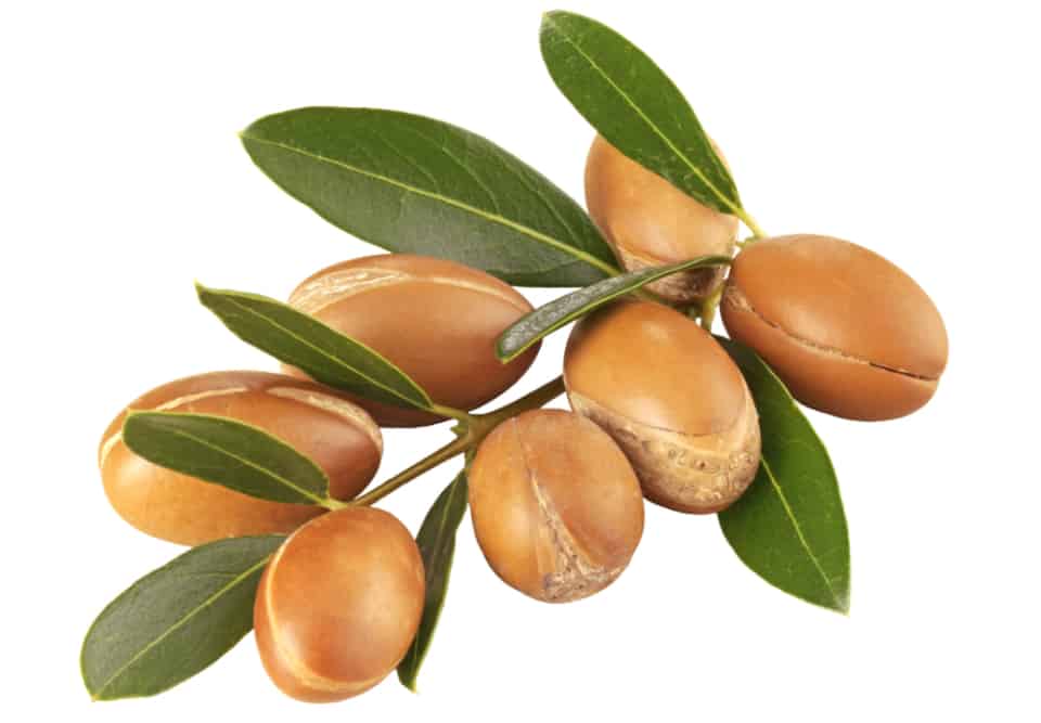 argan oil