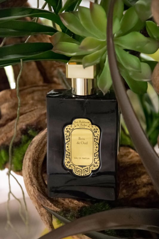 bois de oud oud wood <br> perfume