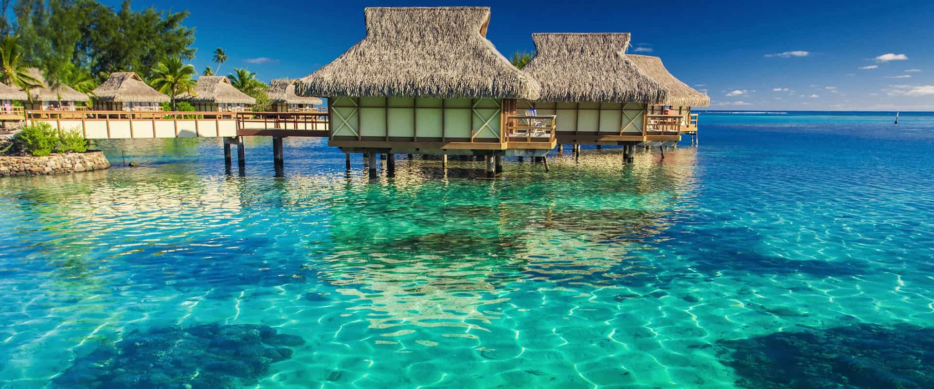 Journey to the Islands - Aloe Vera & Tiare Flowers
