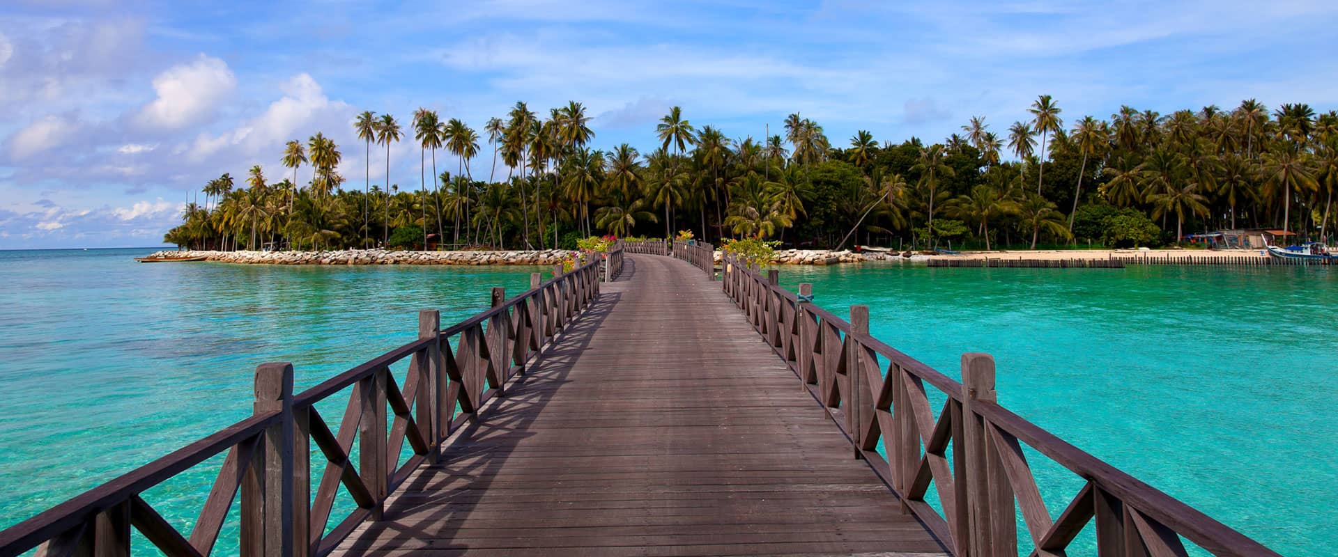 Journey to the Route of Malaysia - Jasmine & Tropical Flowers